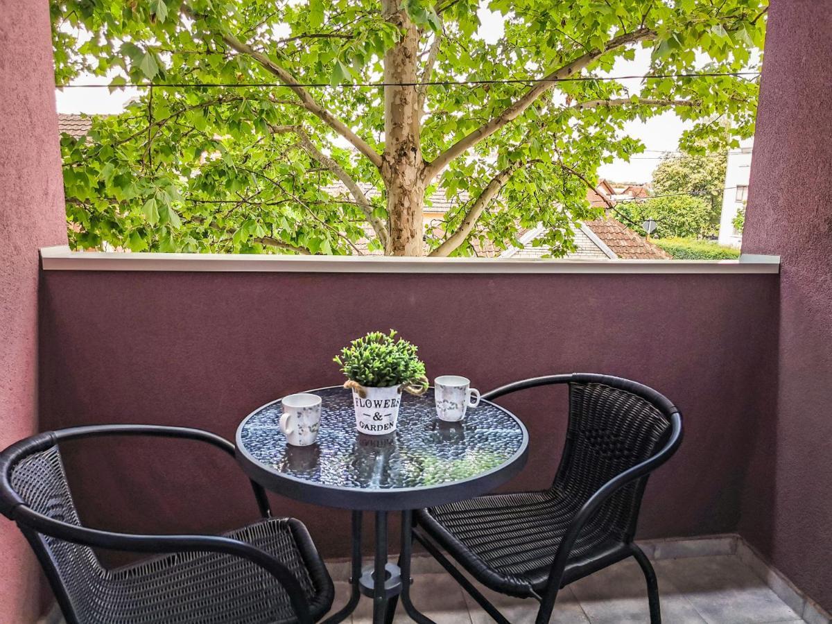 Cozy Corner Apartments - Free Parking & Wi-Fi Ćuprija Exteriér fotografie